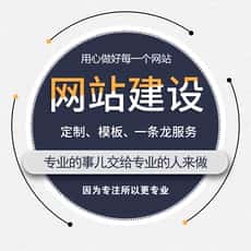 

       网站建设-中小企业普惠性网站-1380元 